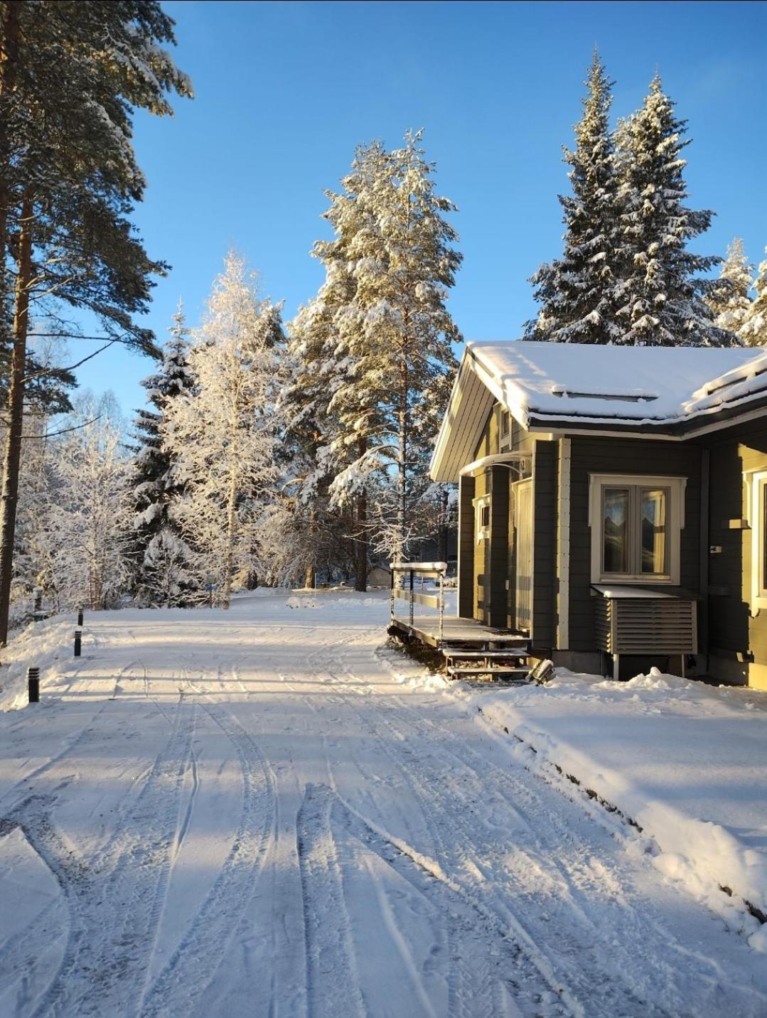 Villa Aleksi With Sauna Rovaniemi Eksteriør bilde